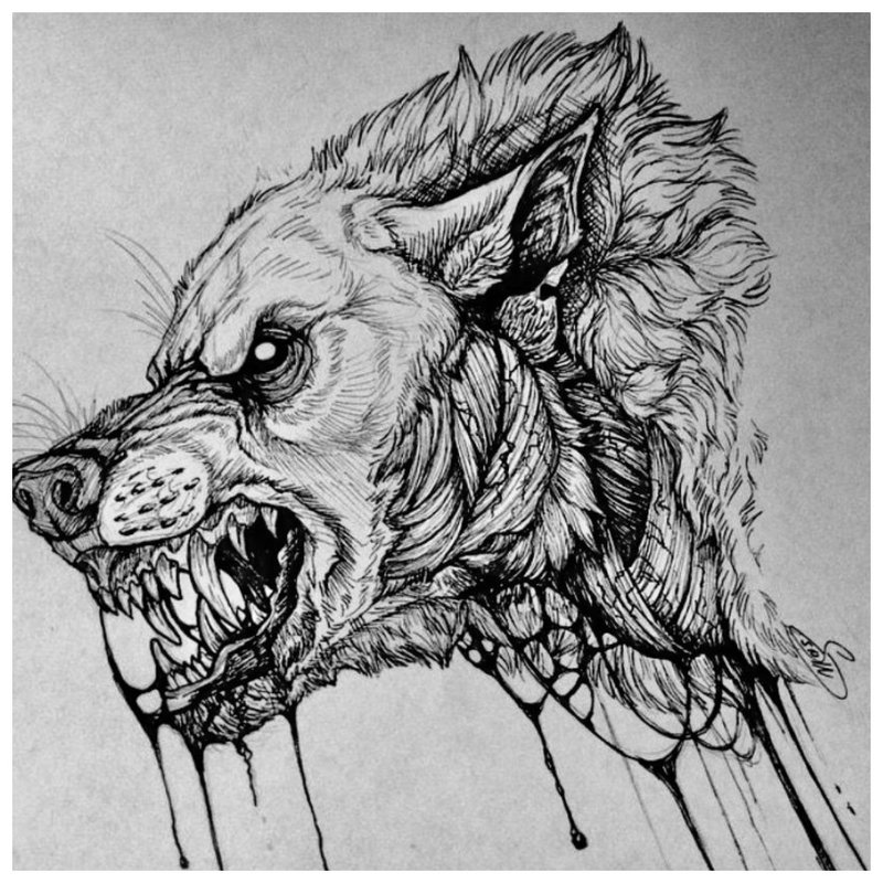 Predatory hayop - sketch ng tattoo