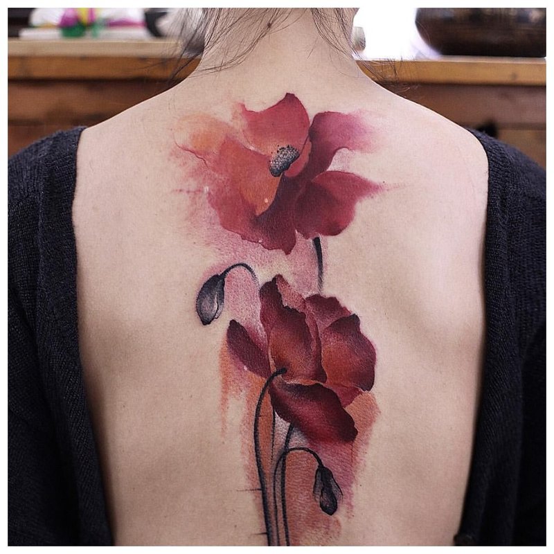 Ang tattoo ng watercolor sa likuran ng isang poppies