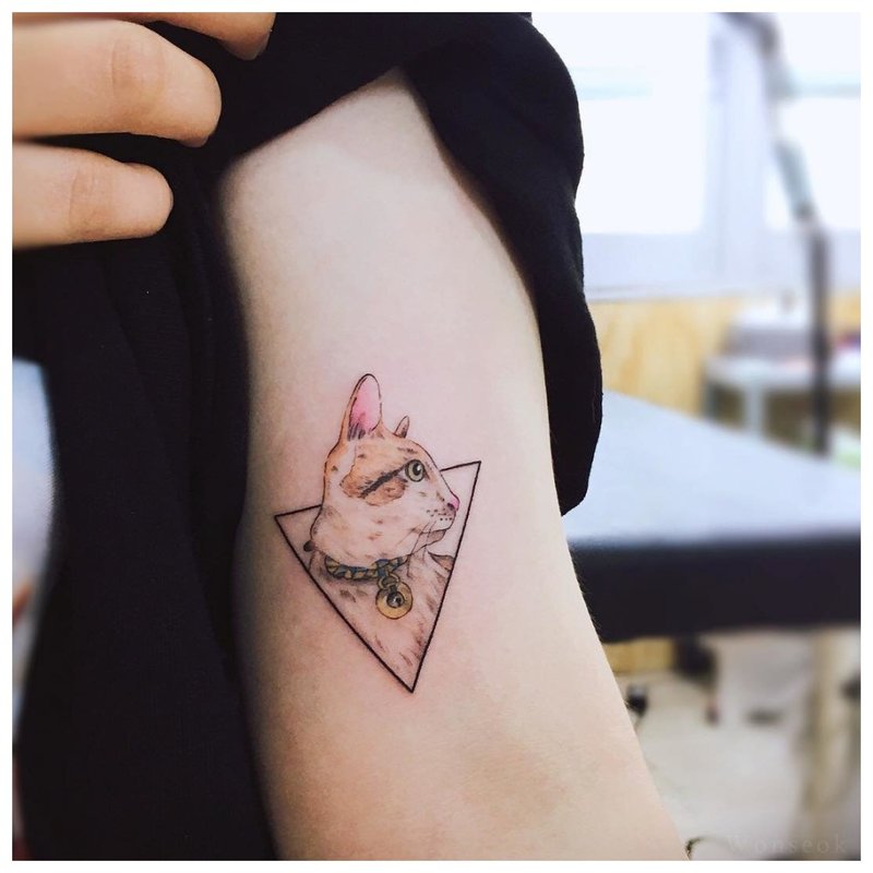 Tatouage de chat triangle